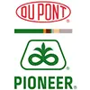 Dupont Pioneer Image