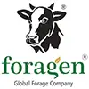 Foragen Seeds Image