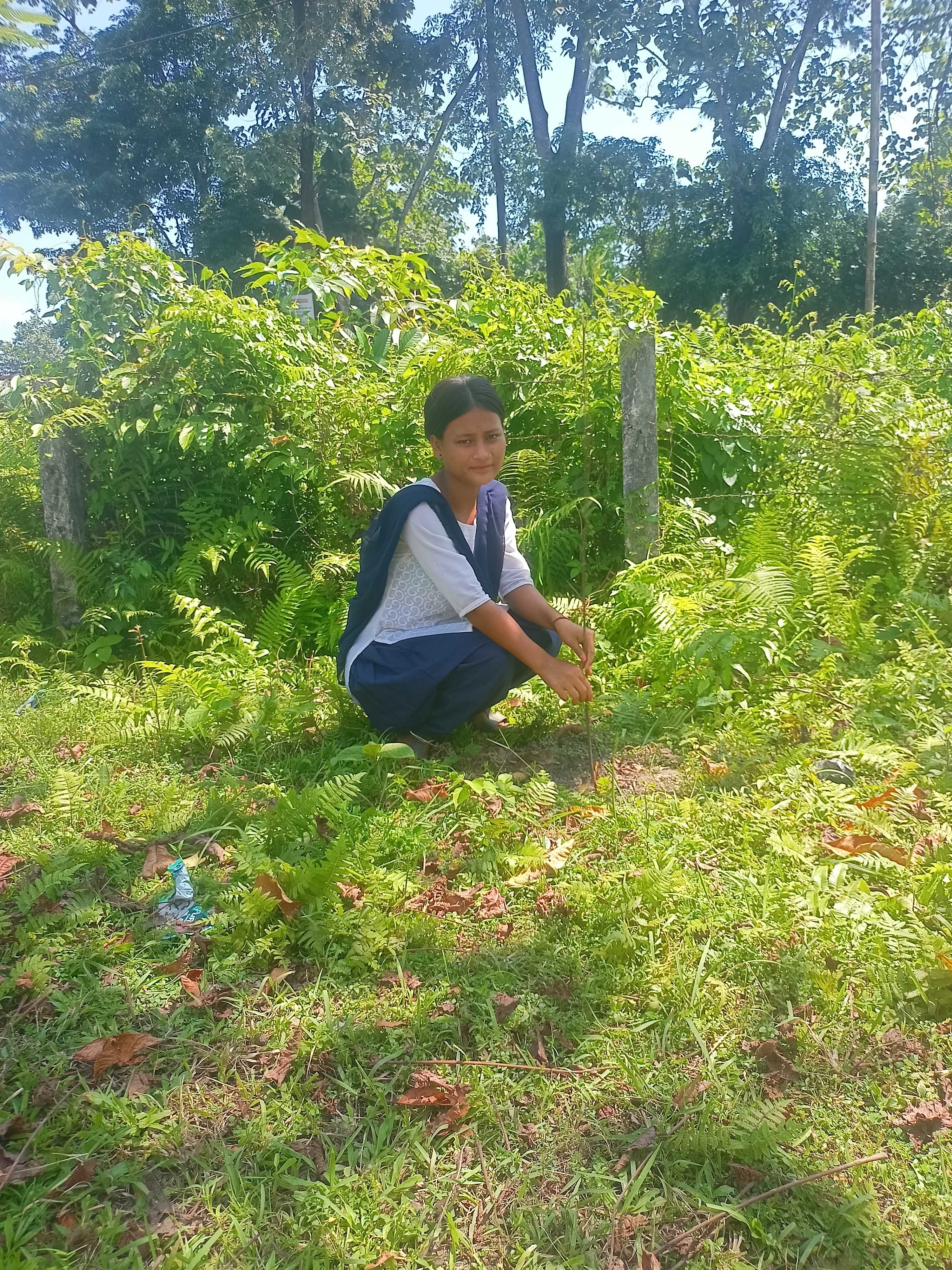 Post Image