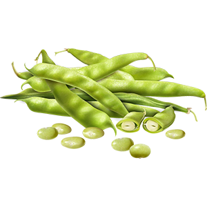Beans Image