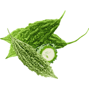 Bitter gourd Image