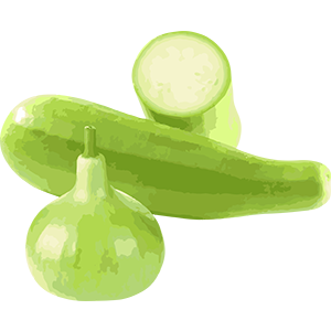 Bottle gourd Image