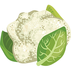 Cauliflower Image