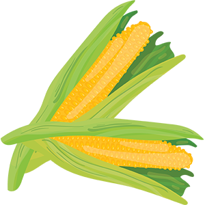 Maize Image