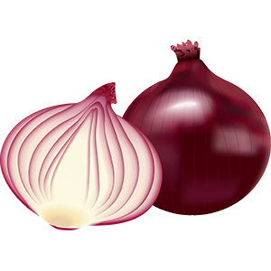 Onion Image