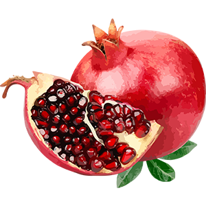 Pomegranate Image