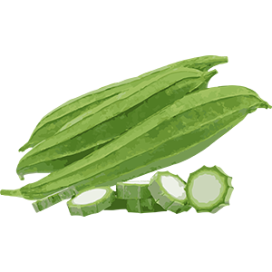 Ridge gourd Image