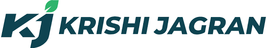 Publisher Icon