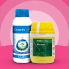 Fungicides Image