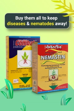 Promotional Banners