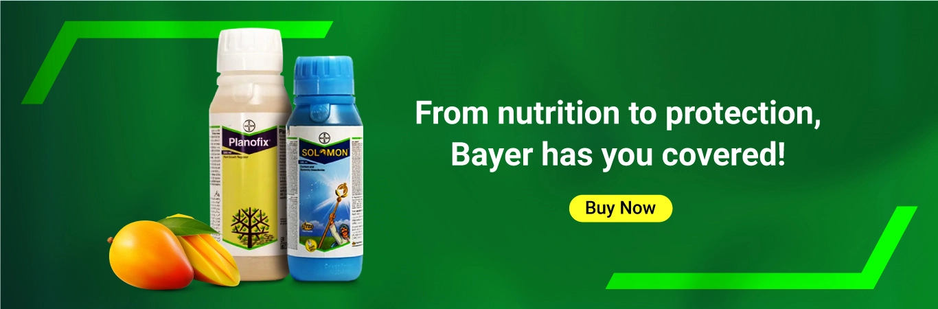 Bayer Products Image